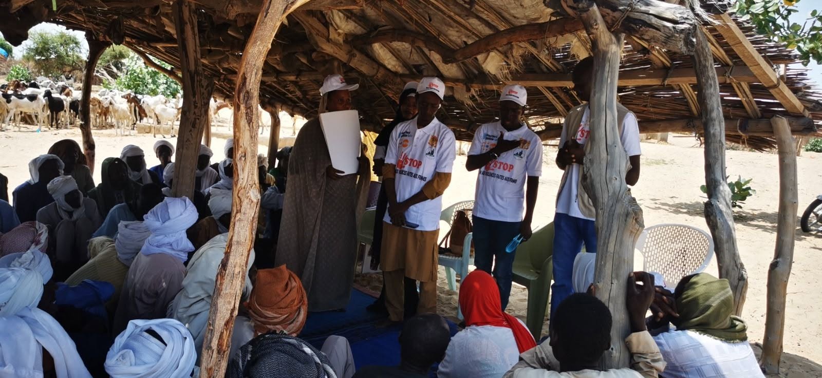 Vous consultez actuellement Activites 1